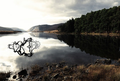 Glenveagh