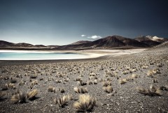 Lake-de-Atacama