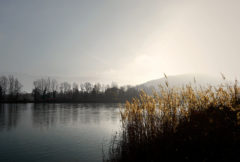 Savoie-Morning-fog-